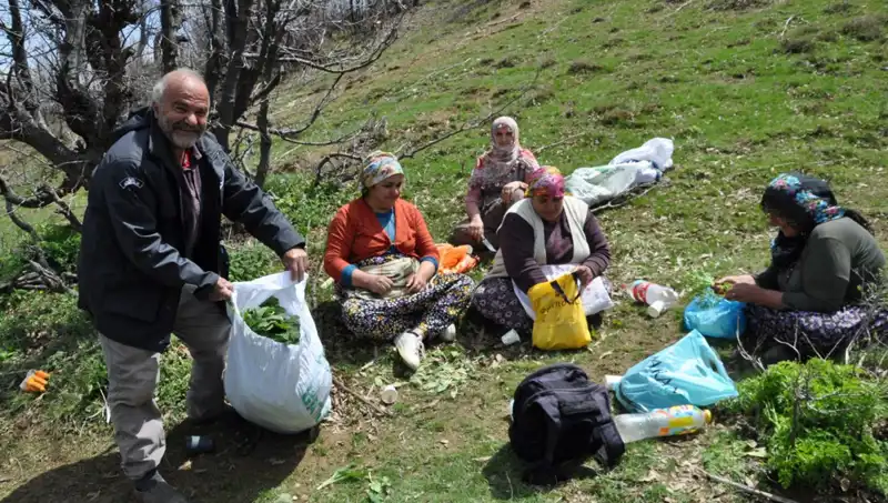 Dağların Zirvesine Yolculuk: 250 Liralık Sağlık Kaynağı İçin 5 Saat Yürüyüş