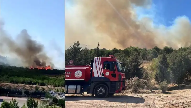 Gebze'de Korkutan Orman Yangını: Dumanlar Gökyüzünü Kırmızıya Boyadı
