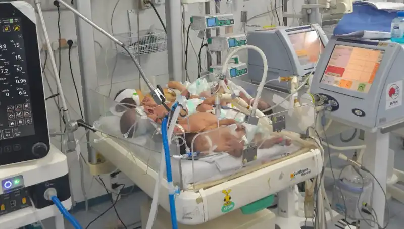 Gazze'de Doktorlar Çaresiz: Kuvözler Yetersiz, Bebekler Tehlikede!
