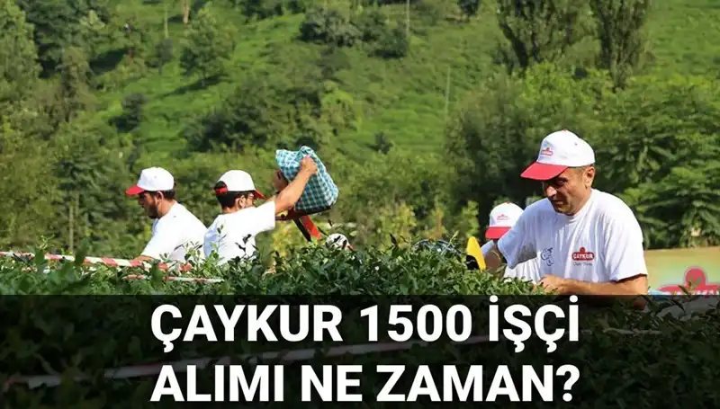 Çaykur İşçi Alımı Başvuru Tarihleri ve Süreçteki Yenilikler