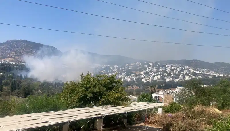 Muğla Orman Yangınlarında Son Gelişmeler: Durum Kontrol Altında mı?