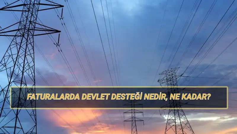 2025'te Devlet Destekli Fatura Ödemeleri: Doğalgaz ve Elektrik İçin Kimler Başvurabilir?