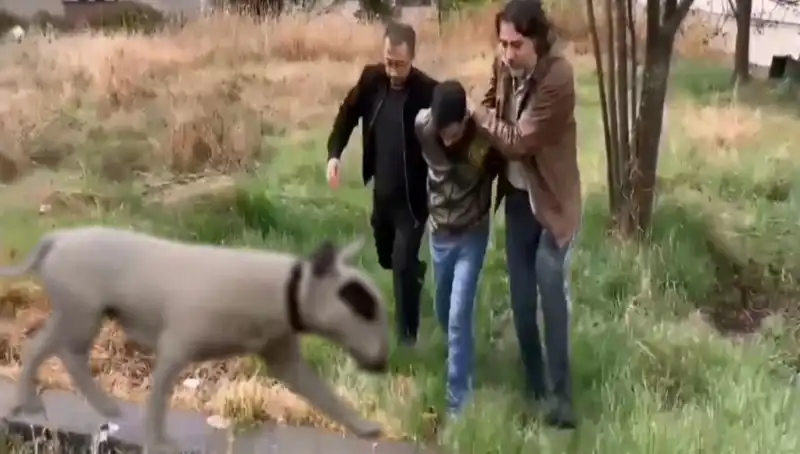 430 Bin Liralık Şampiyon Köpek Hırsızlığı: Suçlu Yakalandı!