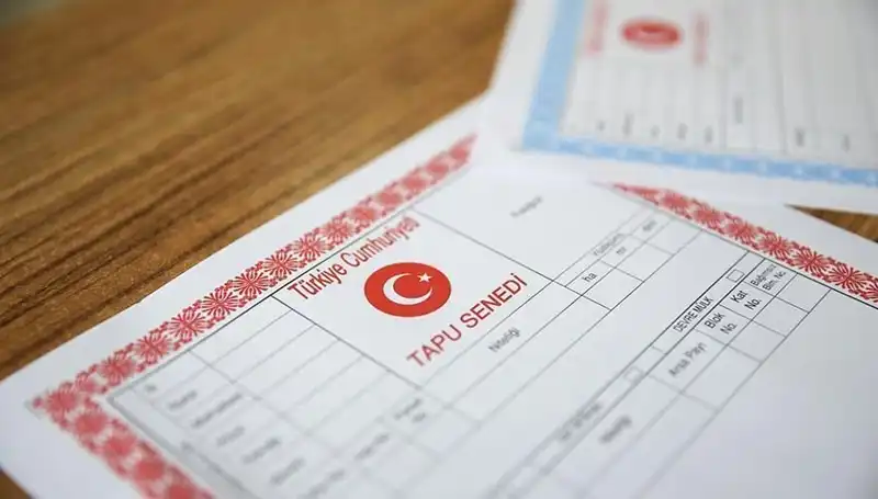 100 Milyonluk Büyü: Hisseli Tapu Yalanıyla Kurulan Tuzak Deşifre Edildi