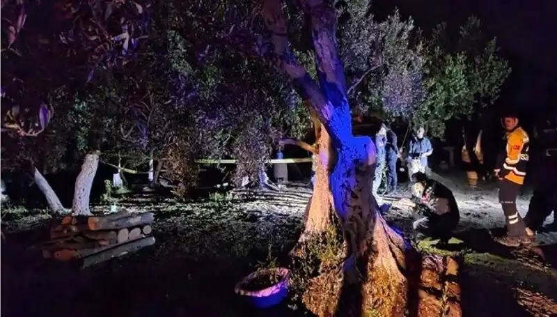 Çiftlikteki Baltalı Vahşete Eş Zamanlı Tutuklama! Olayın Perde Arkası!
