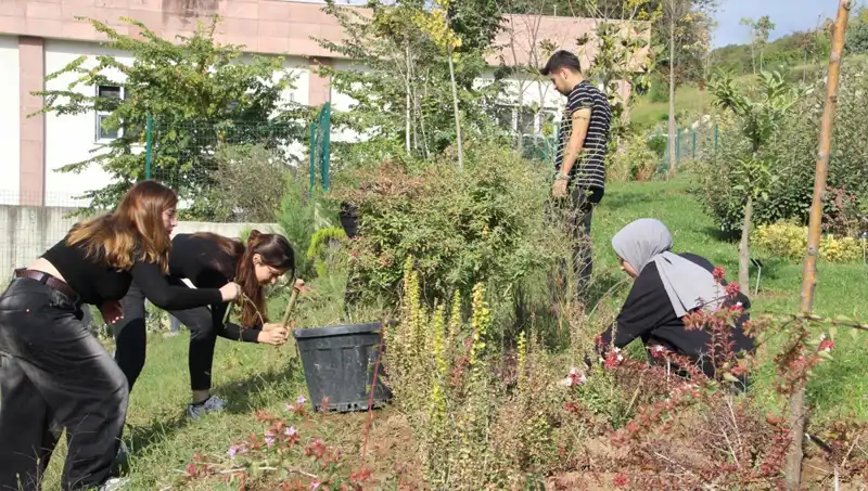 Düzce'nin Hayalini Gerçeğe Dönüştüren Başarı Hikayesi: Sınırları Aşan Bir İnovasyon