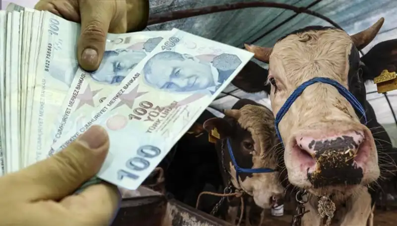Kurban Bayramı Öncesi Maaşlar Yatacak mı? Emekliler Ne Zaman Alacak?