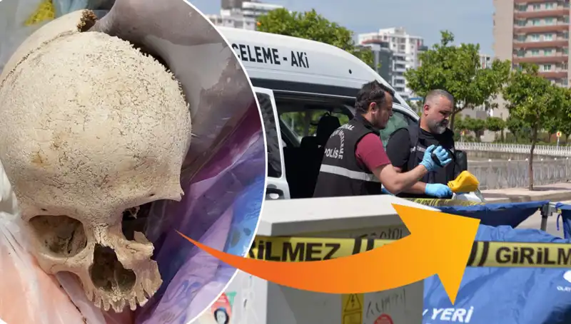 Bir Sitelerin Çöpünde Bulunan Kafatasının Sırrı ve Gözaltına Alınan Uzman Doktor