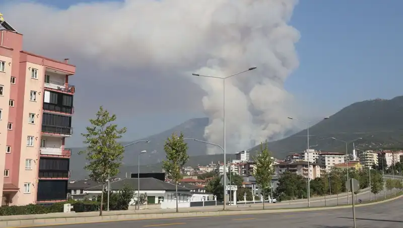 Denizli’deki Orman Yangını: Şüpheli Gözaltına Alındı!