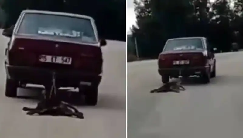 Otomobilin Arkasında Sürüklenen Köpek: Sürücü Ne Yapmaya Çalıştı?