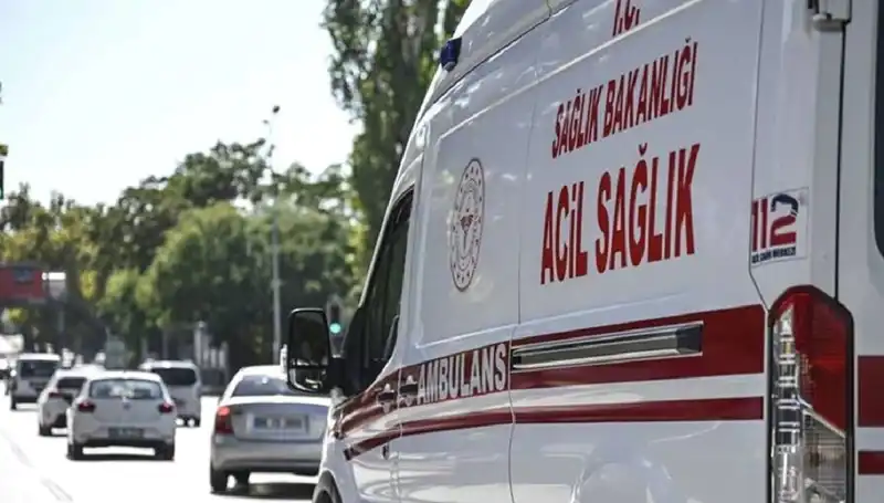 : Böcek Korkusu Apartmanı Tahliye Ettirdi, Mangalda Pul Biberle Eğlenceye Son!