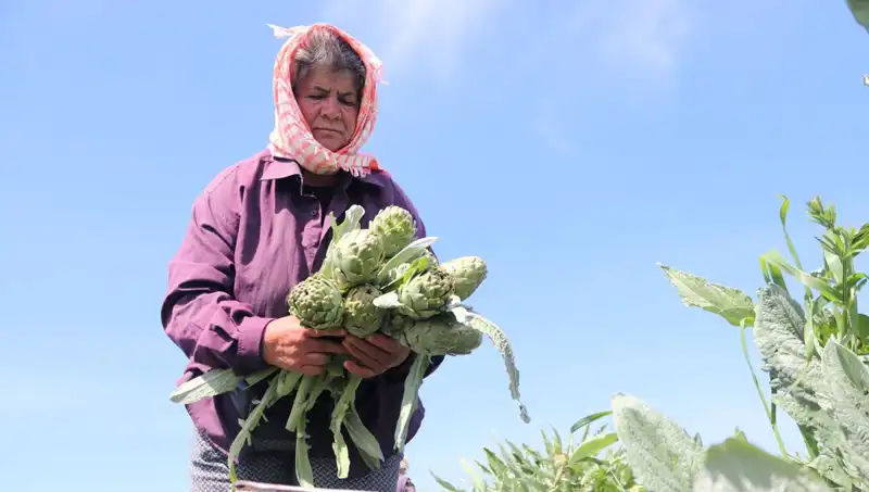 Tazeliğin Fiyatı: Tezgahlarımıza 50 TL'den Giriş Yapan Sebze-Fruit Kombinasyonu