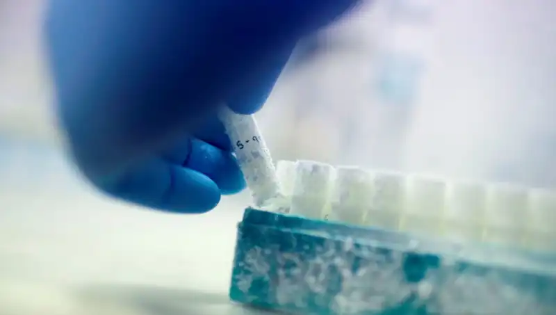 Tıbbi Felaket: 85 Sperm Donörü ile Doğan Binlerce Çocuk Utanç Veriyor