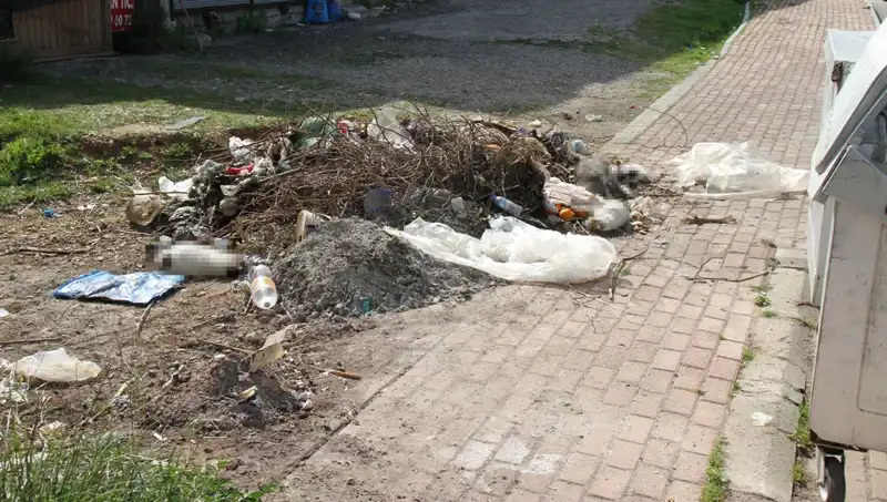 Antalya'da Şok Eden Olay: 10 Kedi Ölü Bulundu, Failler Araştırılıyor