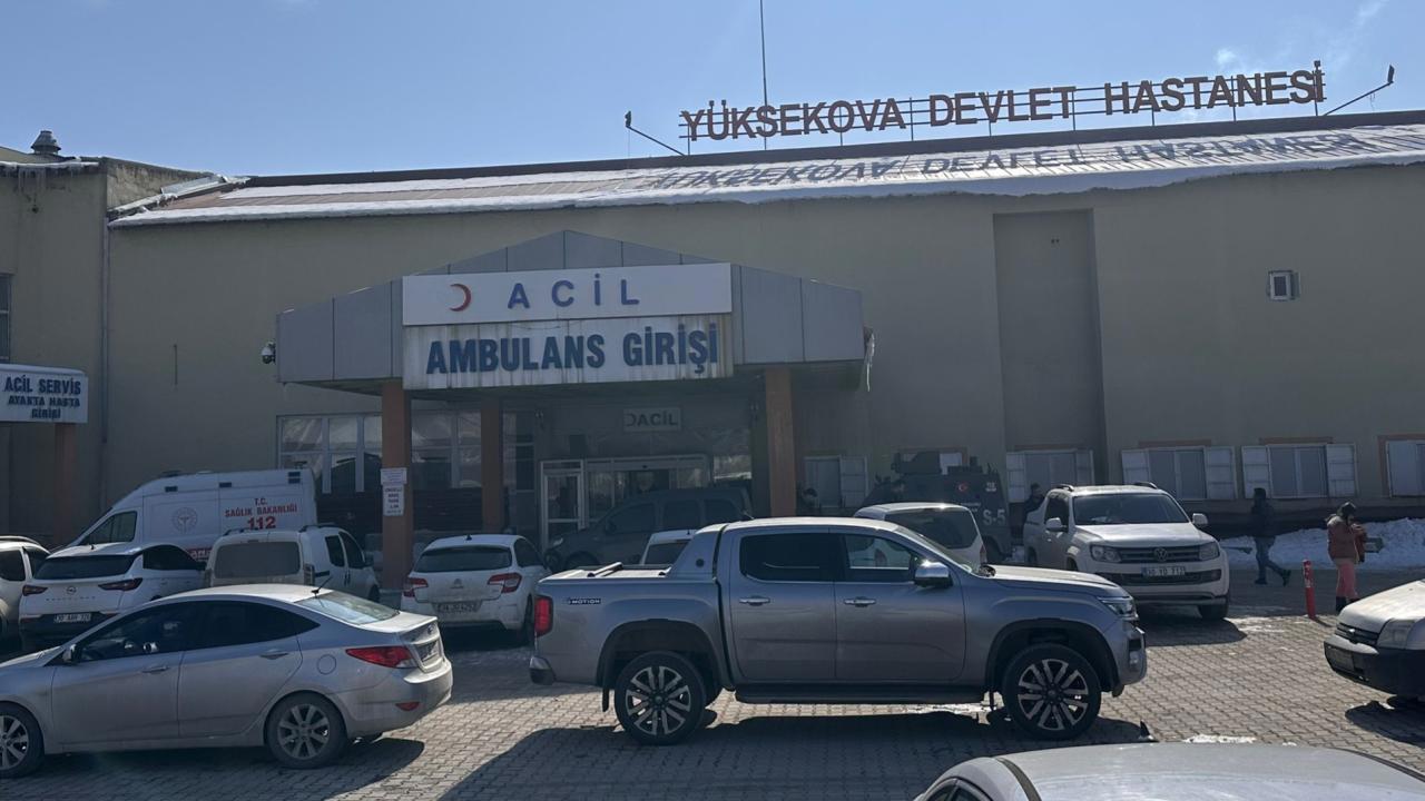 Başıboş Köpeklerin Saldırısında Ölen Çocuğun Ardından Müfettiş Görevlendirildi