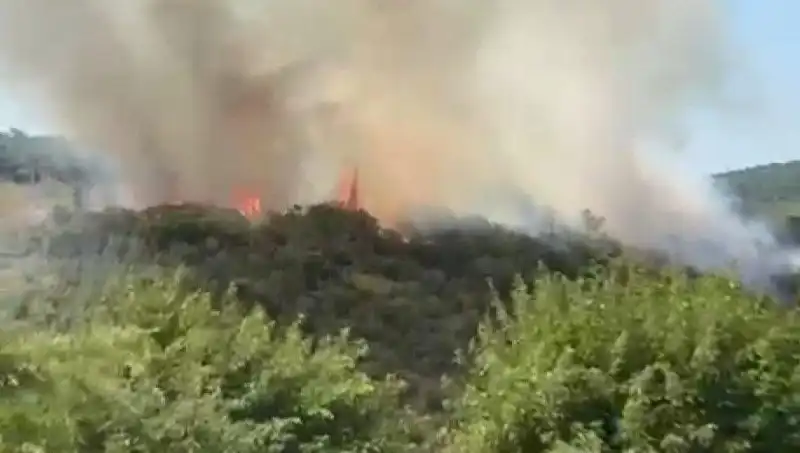 İstanbul'daki Orman Yangını: Vatandaşlar Hızla Tahliye Ediliyor