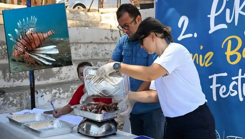 Antalya'da Aslan Balığı Avlama Yarışması: Ekosistem Koruma İçin Bir Adım