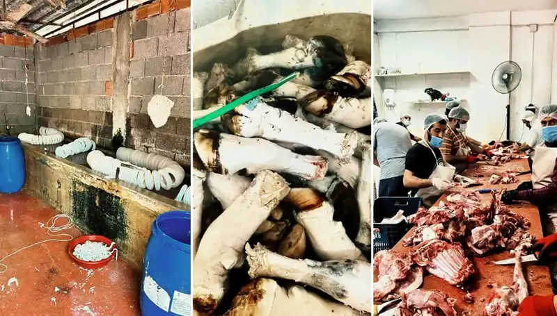 Adana'da Duygu Donduran Paça Operasyonu: Yüzlerce Kilo Ele Geçirildi