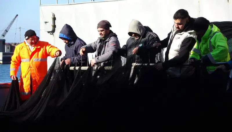 Hamsi Balığı Tükendi: Tekne Sahipleri Yılın Erken Kapanışı ile Karşı Karşıya