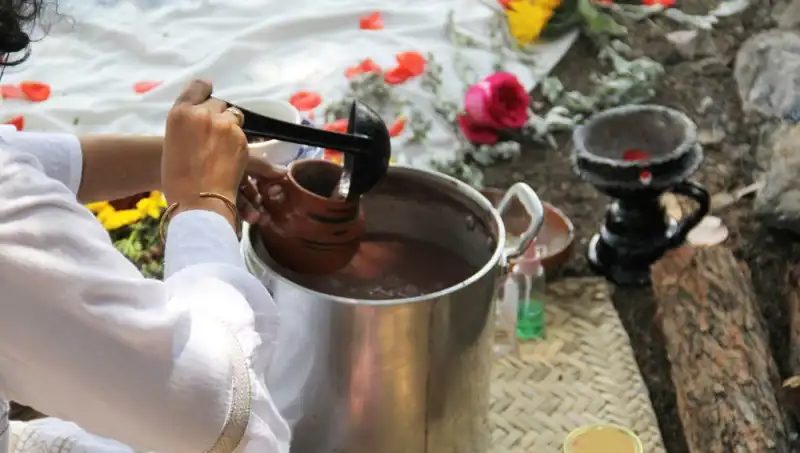 Ayahuasca: Doğanın Şifası veya Tehlikeli Bir Uygulama mı?