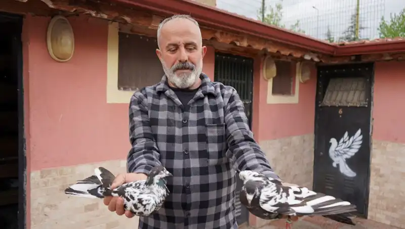 42 Yıllık Tutku: Hobi Olarak Başladı, Şimdi Profesyonel Tesiste Yoğun İlgi Gösteriliyor